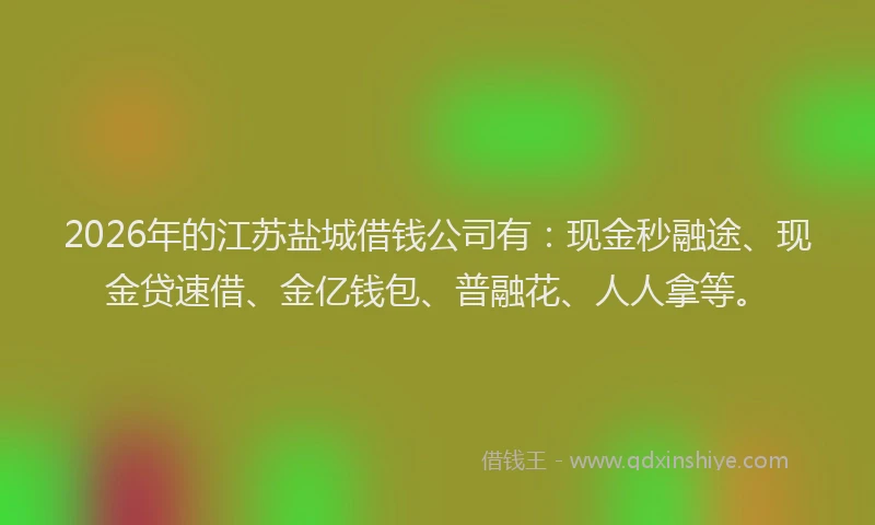 2026年的江苏盐城借钱公司有:现金秒融途、现金贷速借、金亿钱包、普融花、人人拿等。