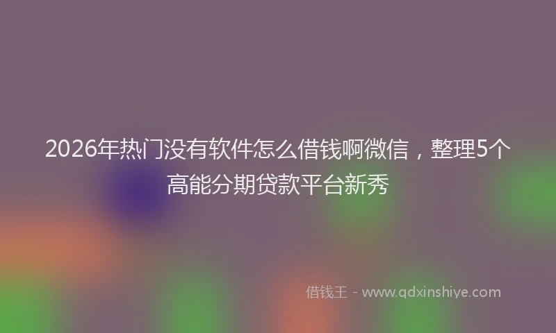 2026年热门没有软件怎么借钱啊微信，整理5个高能分期贷款平台新秀