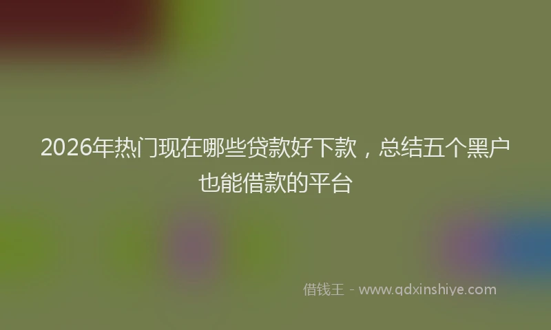 2026年热门现在哪些贷款好下款，总结五个黑户也能借款的平台