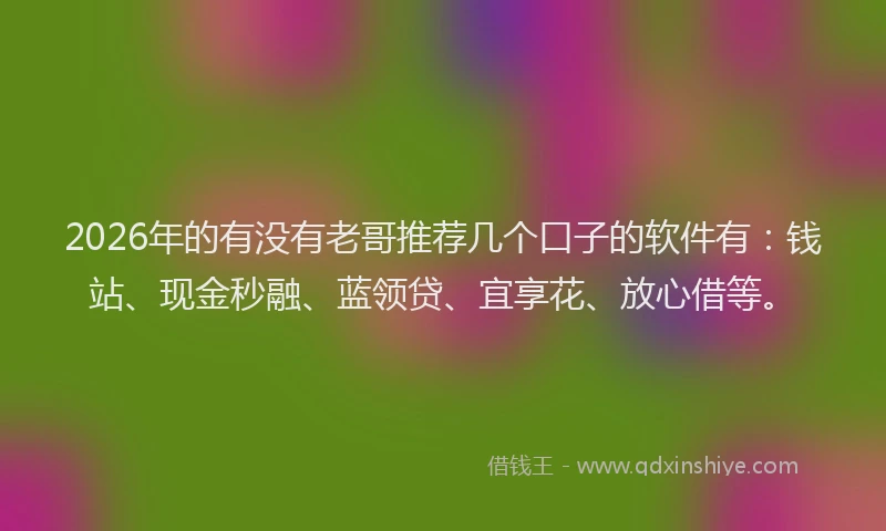 2026年的有没有老哥推荐几个口子的软件有：钱站、现金秒融、蓝领贷、宜享花、放心借等。