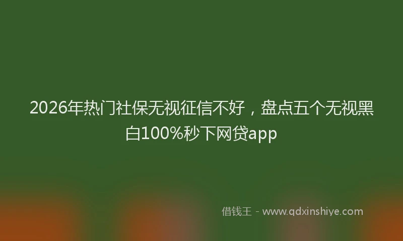 2026年热门社保无视征信不好，盘点五个无视黑白100%秒下网贷app