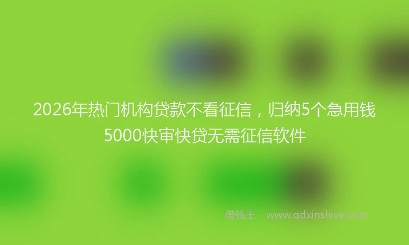 2026年热门机构贷款不看征信,归纳5个急用钱5000快审快贷无需征信软件