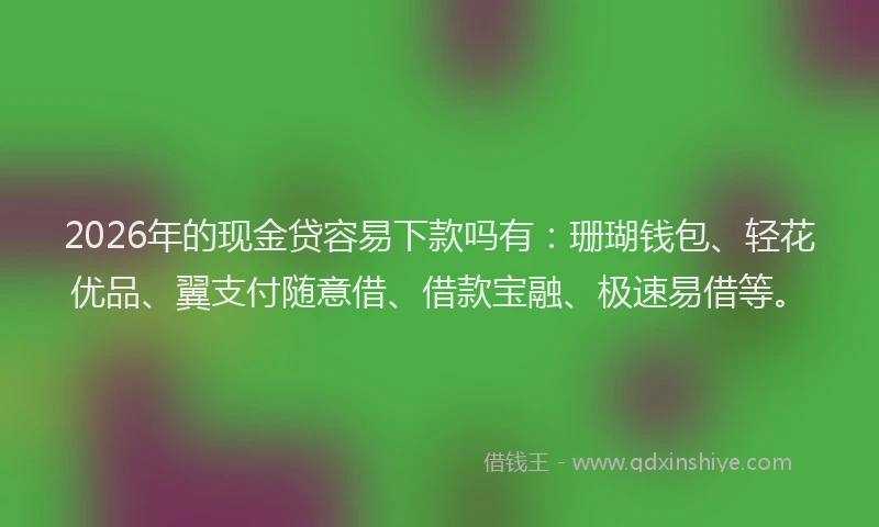 2026年的现金贷容易下款吗有：珊瑚钱包、轻花优品、翼支付随意借、借款宝融、极速易借等。