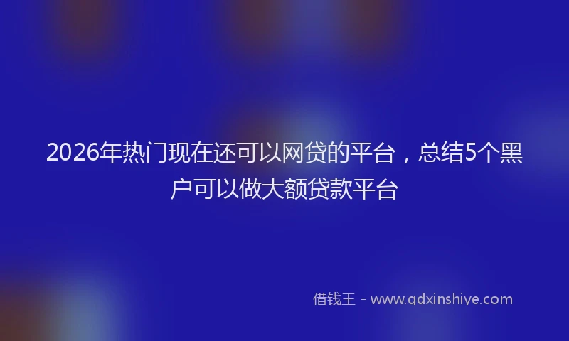 2026年热门现在还可以网贷的平台，总结5个黑户可以做大额贷款平台