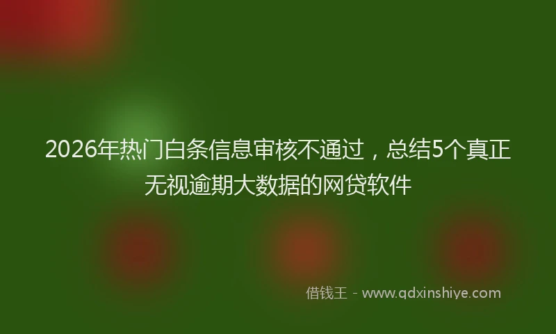 2026年热门白条信息审核不通过，总结5个真正无视逾期大数据的网贷软件