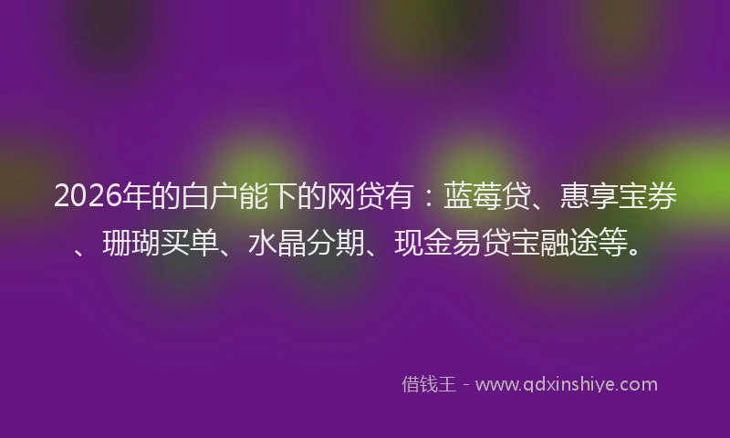 2026年的白户能下的网贷有：蓝莓贷、惠享宝券、珊瑚买单、水晶分期、现金易贷宝融途等。