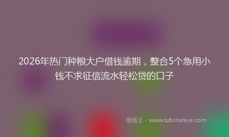 2026年热门种粮大户借钱逾期，整合5个急用小钱不求征信流水轻松贷的口子