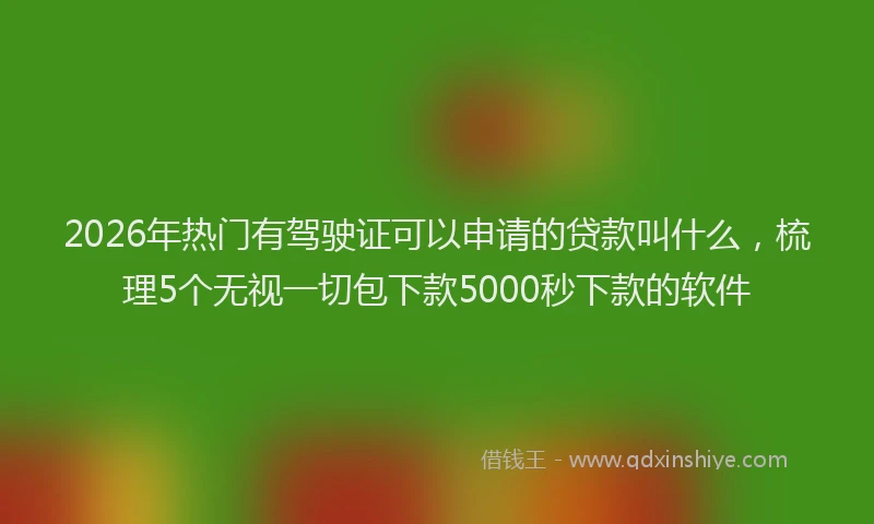 2026年热门有驾驶证可以申请的贷款叫什么，梳理5个无视一切包下款5000秒下款的软件