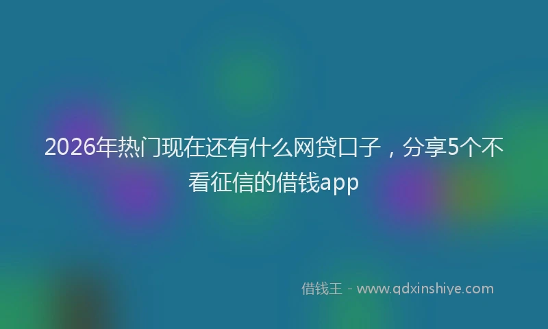 2026年热门现在还有什么网贷口子，分享5个不看征信的借钱app