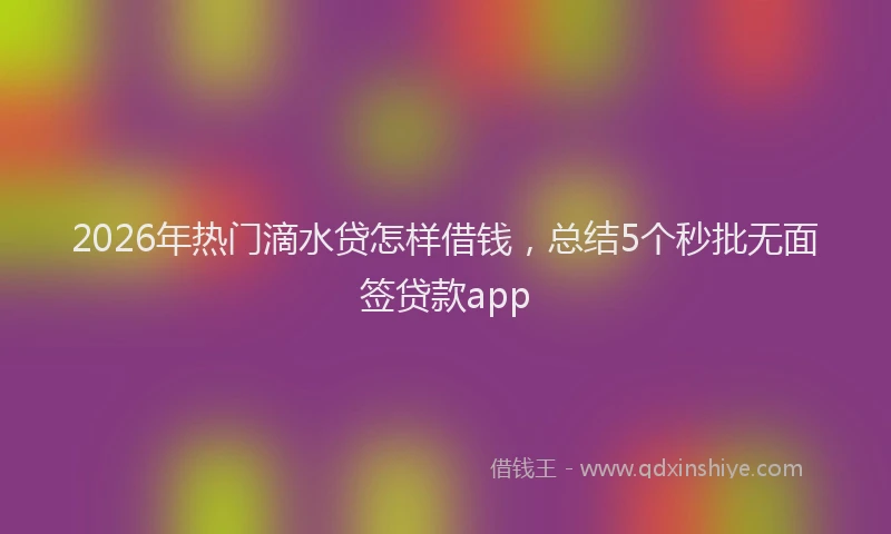 2026年热门滴水贷怎样借钱，总结5个秒批无面签贷款app