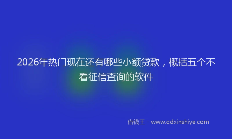 2026年热门现在还有哪些小额贷款，概括五个不看征信查询的软件