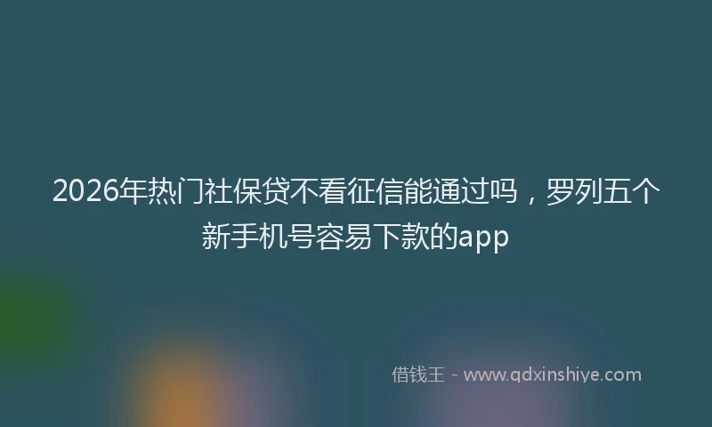 2026年热门社保贷不看征信能通过吗,罗列五个新手机号容易下款的app