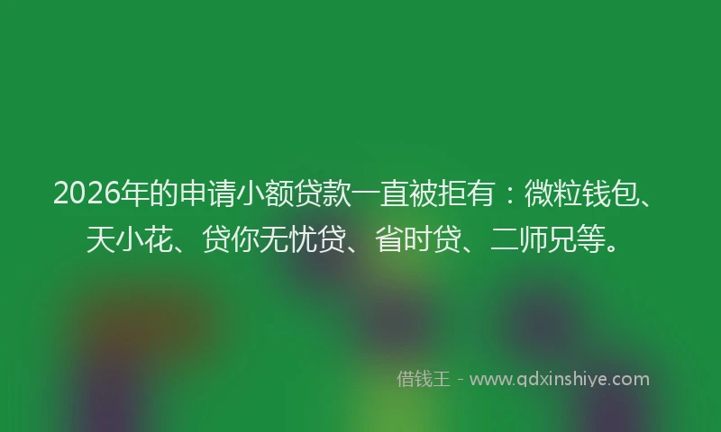 2026年的申请小额贷款一直被拒有:微粒钱包、天小花、贷你无忧贷、省时贷、二师兄等。