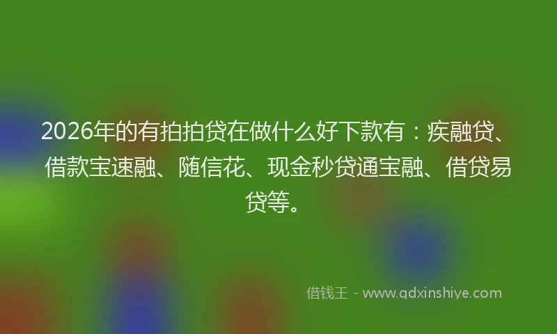 2026年的有拍拍贷在做什么好下款有:疾融贷、借款宝速融、随信花、现金秒贷通宝融、借贷易贷等。