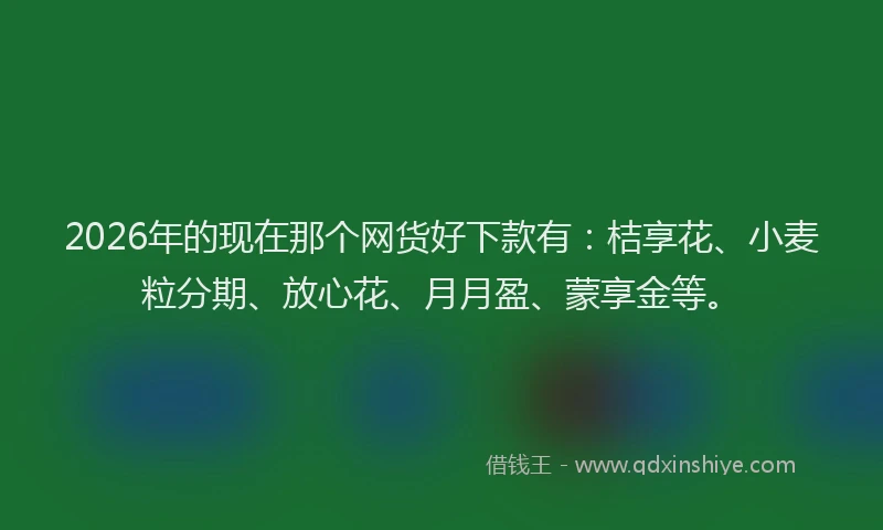 2026年的现在那个网货好下款有：桔享花、小麦粒分期、放心花、月月盈、蒙享金等。