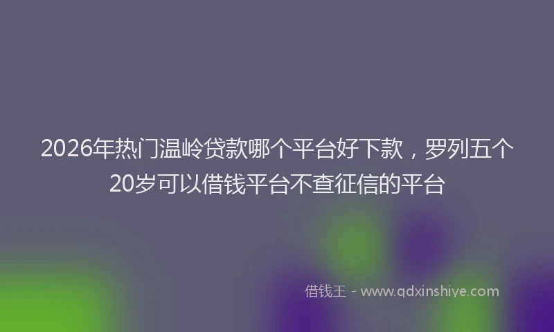 2026年热门温岭贷款哪个平台好下款，罗列五个20岁可以借钱平台不查征信的平台