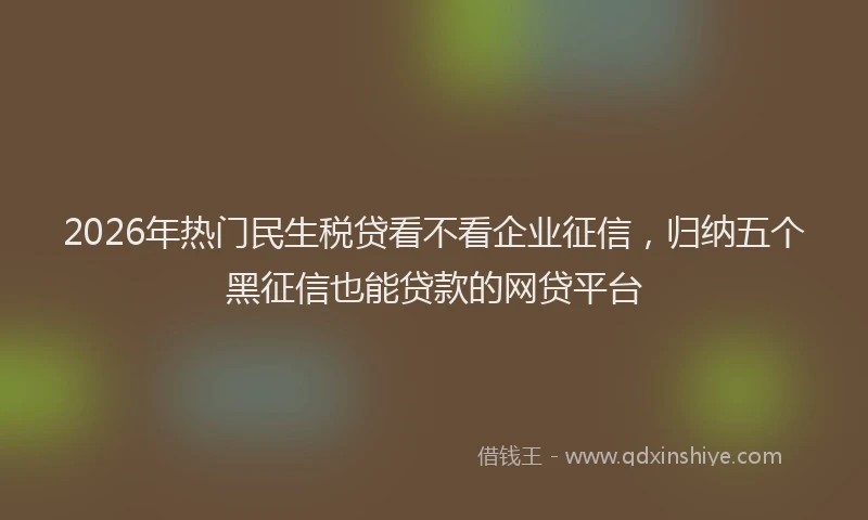 2026年热门民生税贷看不看企业征信，归纳五个黑征信也能贷款的网贷平台