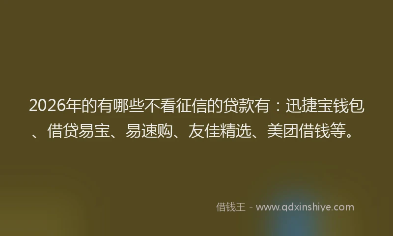 2026年的有哪些不看征信的贷款有：迅捷宝钱包、借贷易宝、易速购、友佳精选、美团借钱等。