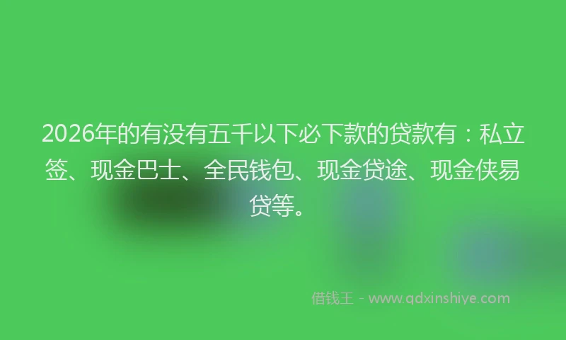 2026年的有没有五千以下必下款的贷款有：私立签、现金巴士、全民钱包、现金贷途、现金侠易贷等。