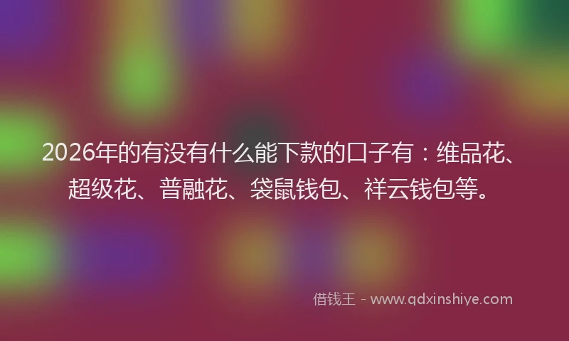 2026年的有没有什么能下款的口子有：维品花、超级花、普融花、袋鼠钱包、祥云钱包等。