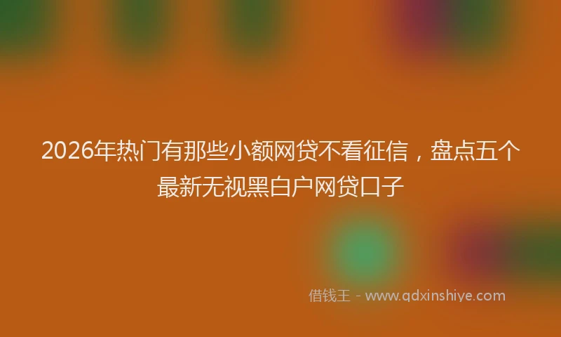 2026年热门有那些小额网贷不看征信，盘点五个最新无视黑白户网贷口子