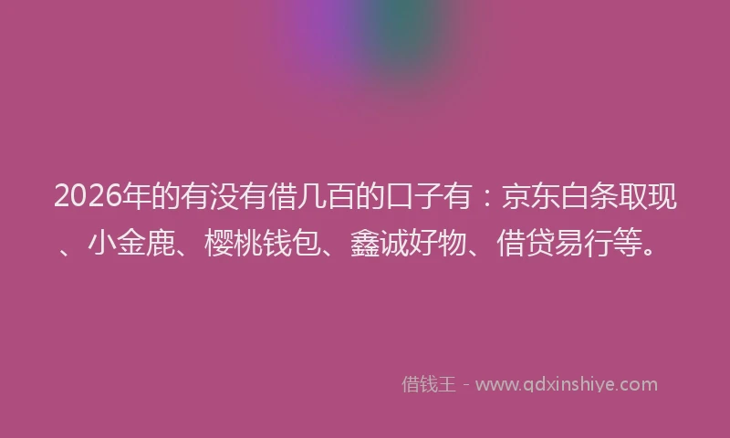 2026年的有没有借几百的口子有：京东白条取现、小金鹿、樱桃钱包、鑫诚好物、借贷易行等。