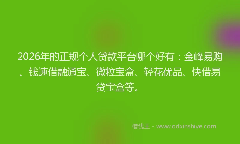 2026年的正规个人贷款平台哪个好有：金峰易购、钱速借融通宝、微粒宝盒、轻花优品、快借易贷宝盒等。