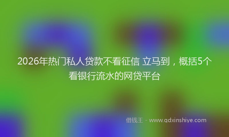 2026年热门私人贷款不看征信 立马到，概括5个看银行流水的网贷平台