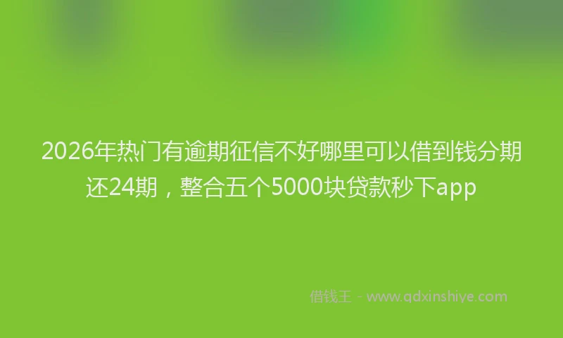 2026年热门有逾期征信不好哪里可以借到钱分期还24期,整合五个5000块贷款秒下app