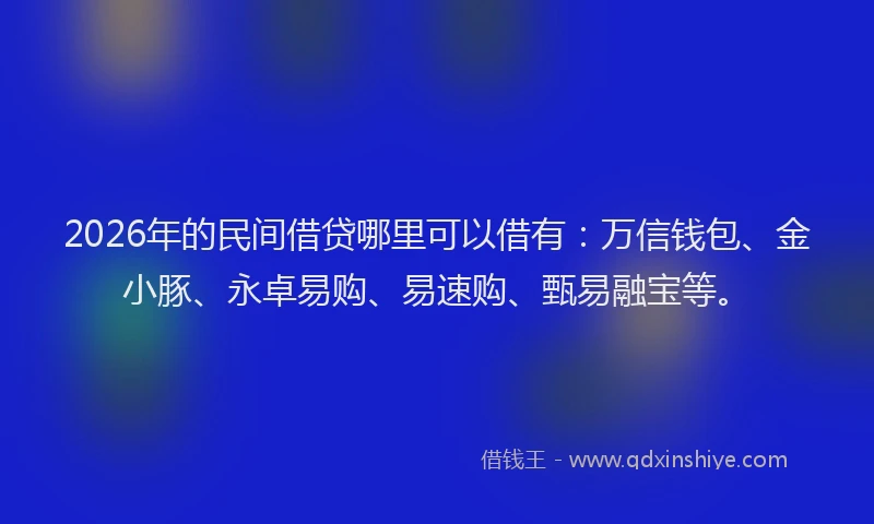 2026年的民间借贷哪里可以借有:万信钱包、金小豚、永卓易购、易速购、甄易融宝等。