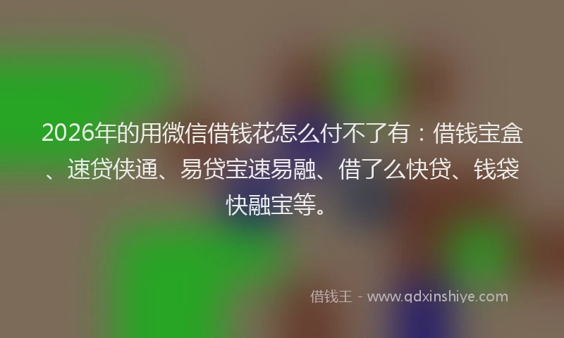 2026年的用微信借钱花怎么付不了有:借钱宝盒、速贷侠通、易贷宝速易融、借了么快贷、钱袋快融宝等。