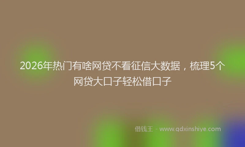 2026年热门有啥网贷不看征信大数据，梳理5个网贷大口子轻松借口子