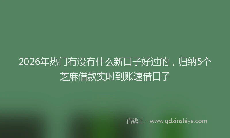 2026年热门有没有什么新口子好过的，归纳5个芝麻借款实时到账速借口子