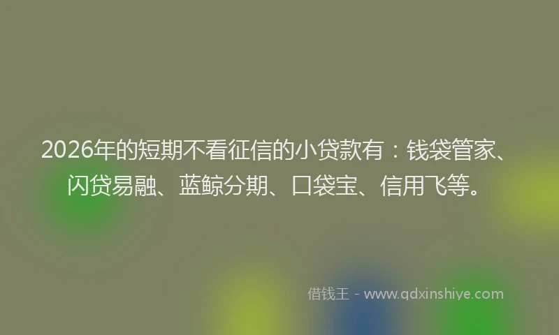 2026年的短期不看征信的小贷款有：钱袋管家、闪贷易融、蓝鲸分期、口袋宝、信用飞等。