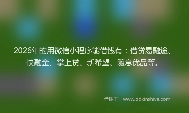 2026年的用微信小程序能借钱有：借贷易融途、快融金、掌上贷、新希望、随意优品等。