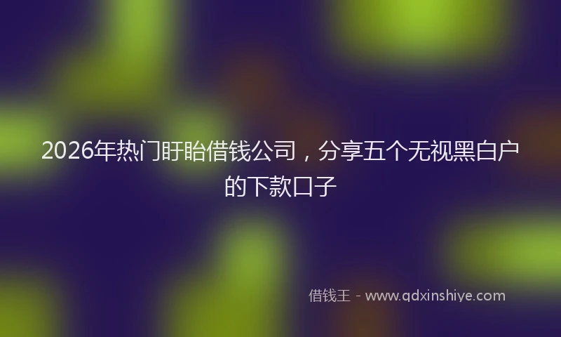 2026年热门盱眙借钱公司，分享五个无视黑白户的下款口子