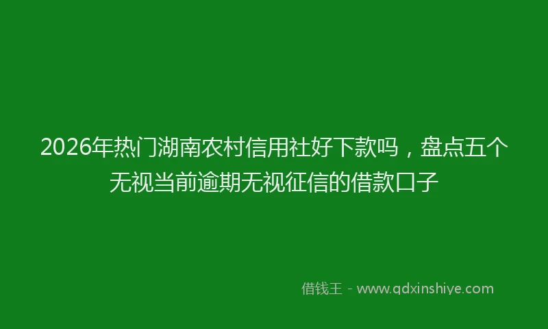 2026年热门湖南农村信用社好下款吗，盘点五个无视当前逾期无视征信的借款口子