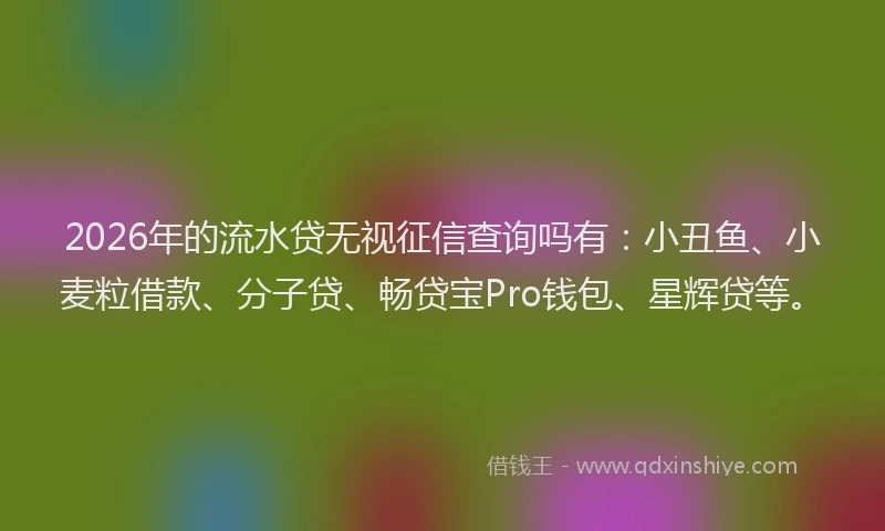 2026年的流水贷无视征信查询吗有：小丑鱼、小麦粒借款、分子贷、畅贷宝Pro钱包、星辉贷等。