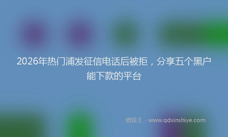 2026年热门浦发征信电话后被拒，分享五个黑户能下款的平台