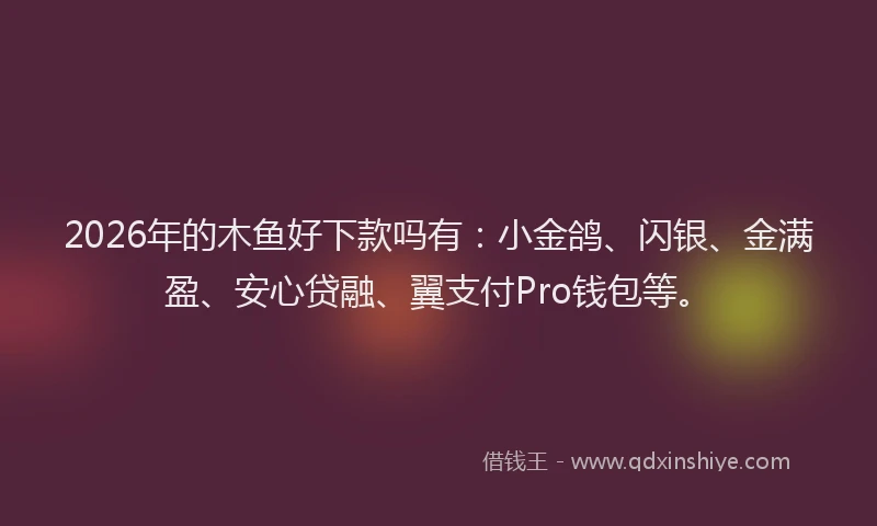 2026年的木鱼好下款吗有：小金鸽、闪银、金满盈、安心贷融、翼支付Pro钱包等。