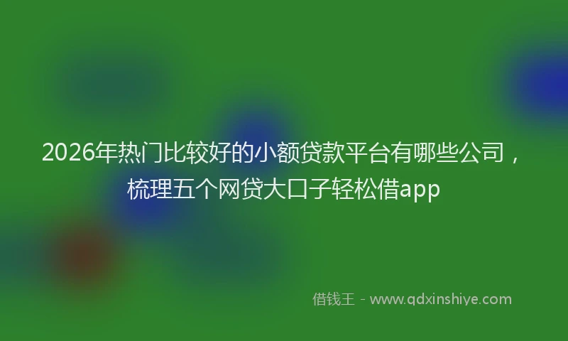 2026年热门比较好的小额贷款平台有哪些公司，梳理五个网贷大口子轻松借app