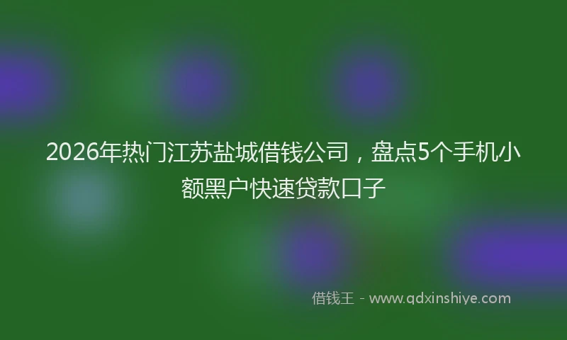 2026年热门江苏盐城借钱公司，盘点5个手机小额黑户快速贷款口子