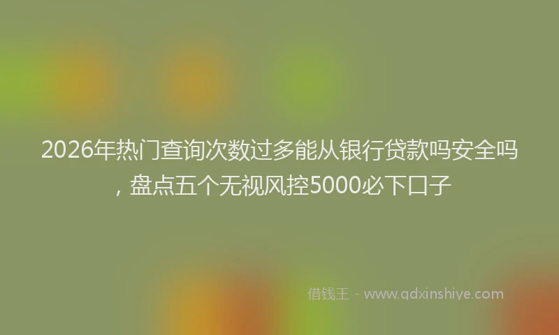 2026年热门查询次数过多能从银行贷款吗安全吗，盘点五个无视风控5000必下口子