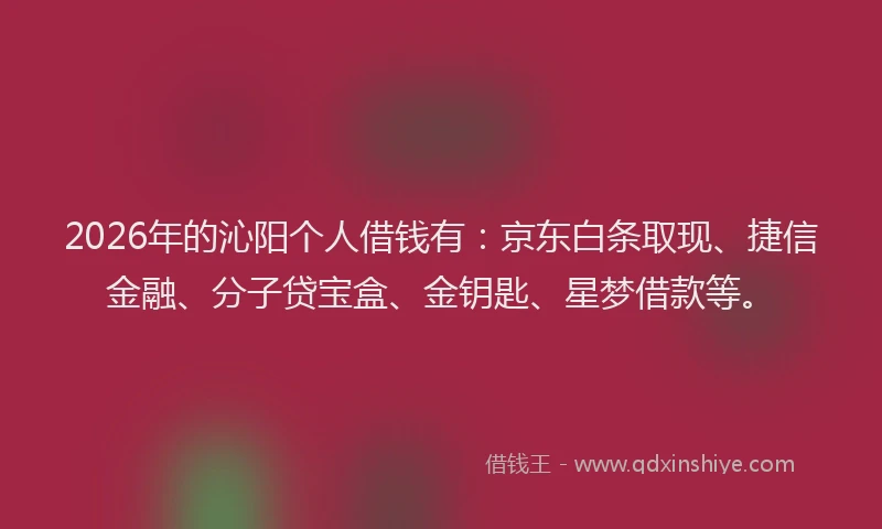 2026年的沁阳个人借钱有:京东白条取现、捷信金融、分子贷宝盒、金钥匙、星梦借款等。