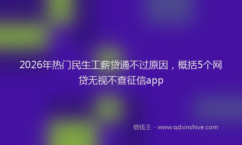 2026年热门民生工薪贷通不过原因，概括5个网贷无视不查征信app