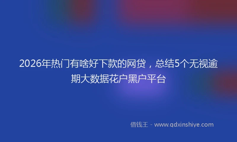 2026年热门有啥好下款的网贷，总结5个无视逾期大数据花户黑户平台