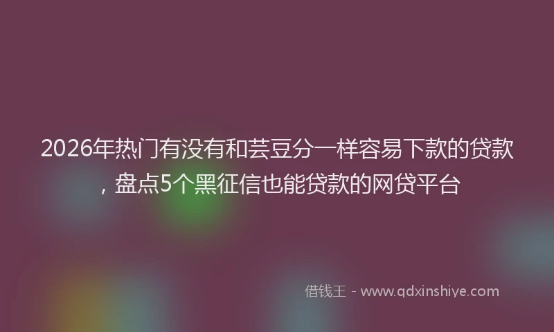 2026年热门有没有和芸豆分一样容易下款的贷款,盘点5个黑征信也能贷款的网贷平台