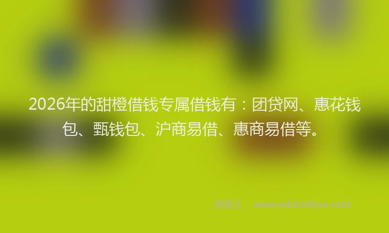 2026年的甜橙借钱专属借钱有：团贷网、惠花钱包、甄钱包、沪商易借、惠商易借等。