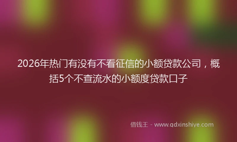 2026年热门有没有不看征信的小额贷款公司，概括5个不查流水的小额度贷款口子