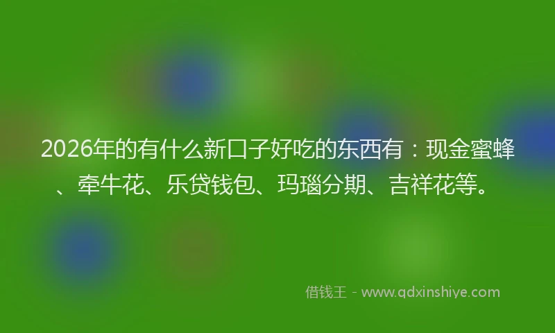 2026年的有什么新口子好吃的东西有：现金蜜蜂、牵牛花、乐贷钱包、玛瑙分期、吉祥花等。